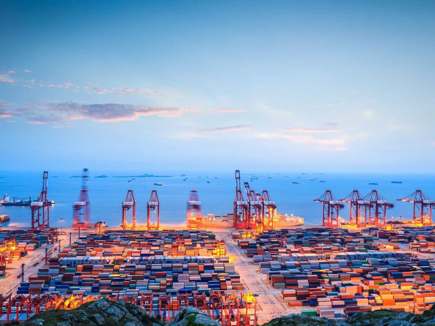 Customs Compliance & Risk Management